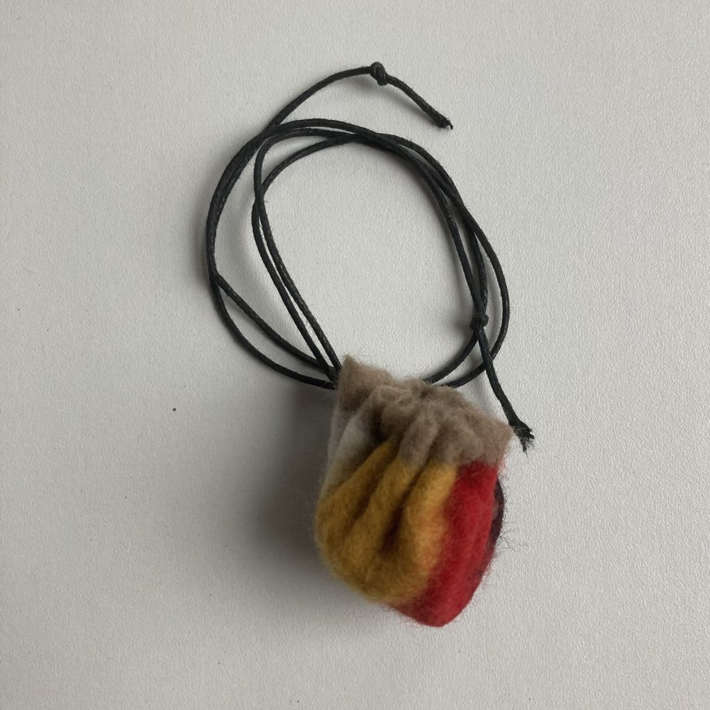 minibuidel-medcijnwiel 2