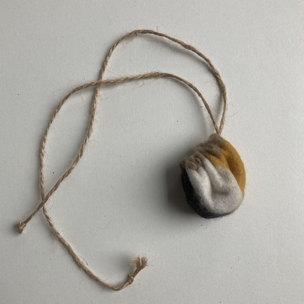 minibuidel-medicijnwiel 3